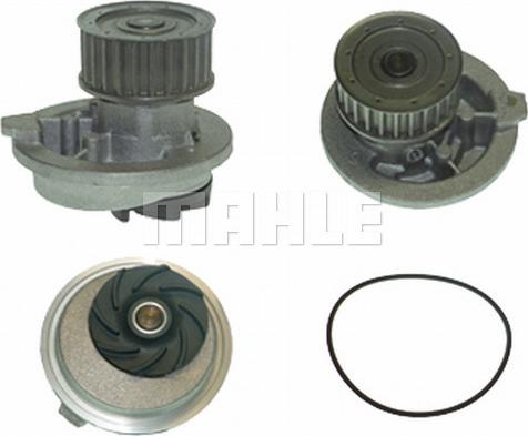 Wilmink Group WG2181459 - Water Pump autospares.lv