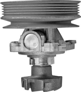 Wilmink Group WG2181552 - Water Pump autospares.lv