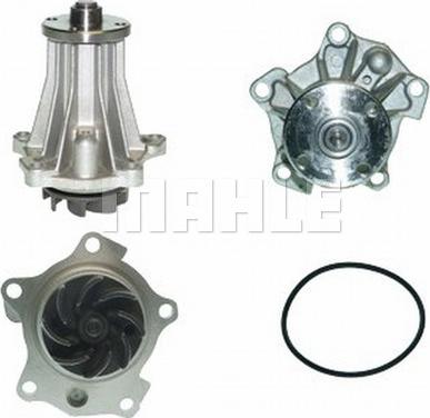 Wilmink Group WG2181569 - Water Pump autospares.lv