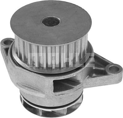 Wilmink Group WG2181519 - Water Pump autospares.lv