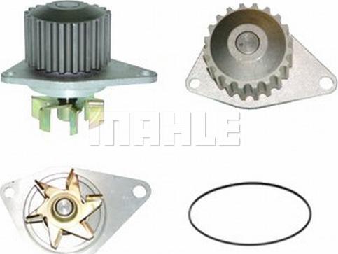 Wilmink Group WG2181534 - Water Pump autospares.lv