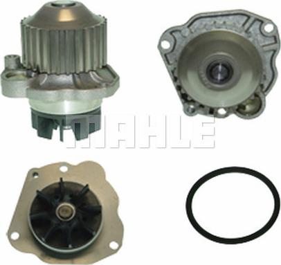 Wilmink Group WG2181523 - Water Pump autospares.lv