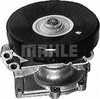 Wilmink Group WG2181522 - Water Pump autospares.lv