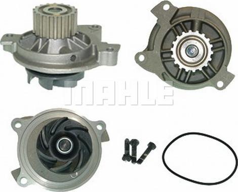 Wilmink Group WG2181573 - Water Pump autospares.lv