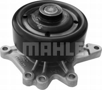 Wilmink Group WG2181613 - Water Pump autospares.lv