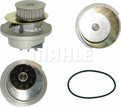 Wilmink Group WG2181624 - Water Pump autospares.lv