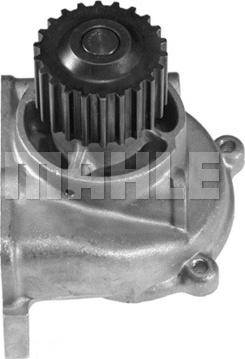 Wilmink Group WG2181626 - Water Pump autospares.lv