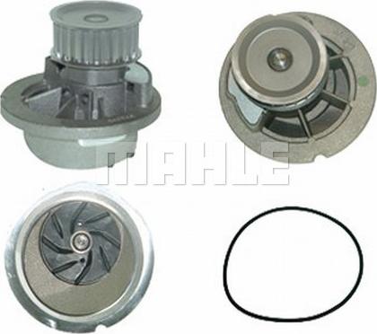 Wilmink Group WG2181621 - Water Pump autospares.lv