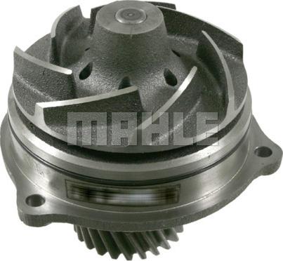 Wilmink Group WG2181897 - Water Pump autospares.lv