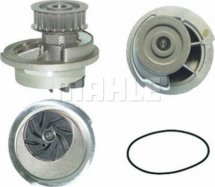 Wilmink Group WG2181816 - Water Pump autospares.lv