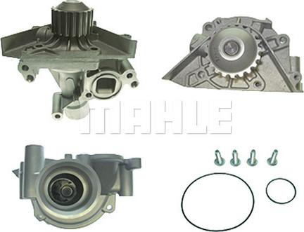 Wilmink Group WG2181398 - Water Pump autospares.lv