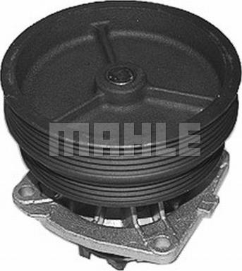 Wilmink Group WG2181360 - Water Pump autospares.lv