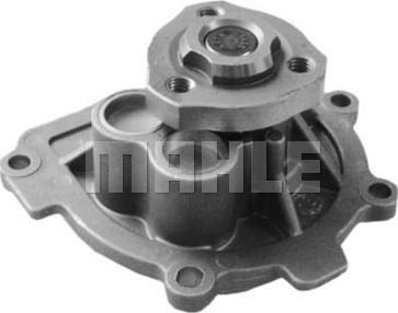 Wilmink Group WG2181319 - Water Pump autospares.lv