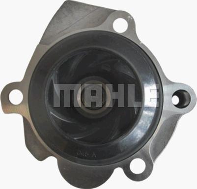 Wilmink Group WG2181313 - Water Pump autospares.lv