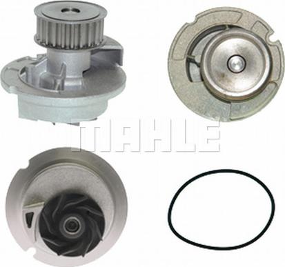 Wilmink Group WG2181387 - Water Pump autospares.lv