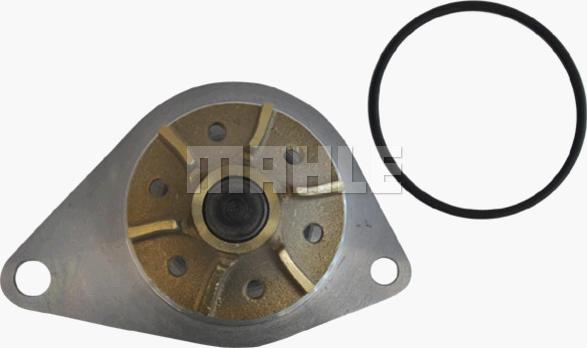 Wilmink Group WG2181339 - Water Pump autospares.lv
