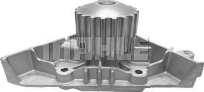 Wilmink Group WG2181336 - Water Pump autospares.lv