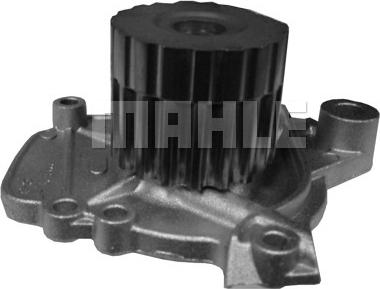 Wilmink Group WG2181331 - Water Pump autospares.lv