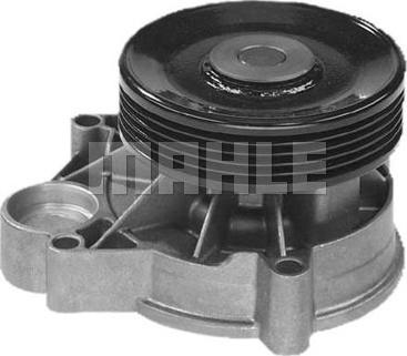 Wilmink Group WG2181333 - Water Pump autospares.lv