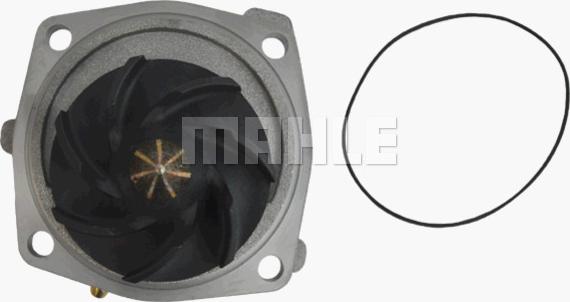 Wilmink Group WG2181325 - Water Pump autospares.lv