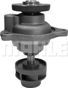 Wilmink Group WG2181295 - Water Pump autospares.lv