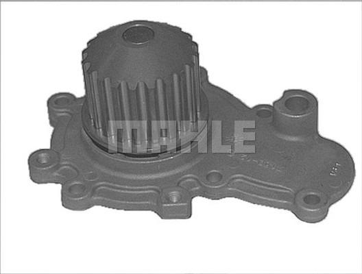 Wilmink Group WG2181279 - Water Pump autospares.lv