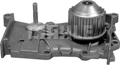 Wilmink Group WG2181711 - Water Pump autospares.lv