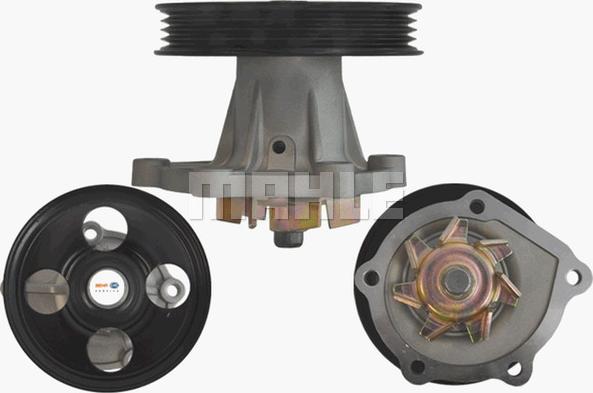 Wilmink Group WG2182096 - Water Pump autospares.lv