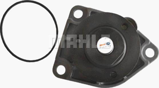 Wilmink Group WG2182044 - Water Pump autospares.lv