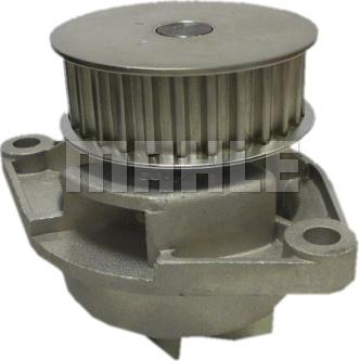 Wilmink Group WG2182041 - Water Pump autospares.lv