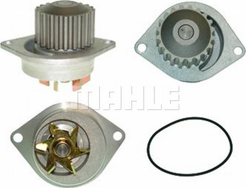 Wilmink Group WG2182058 - Water Pump autospares.lv