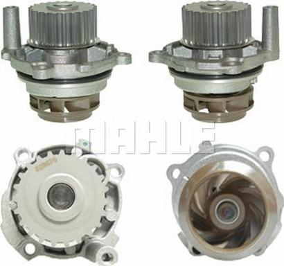 Wilmink Group WG2182062 - Water Pump autospares.lv
