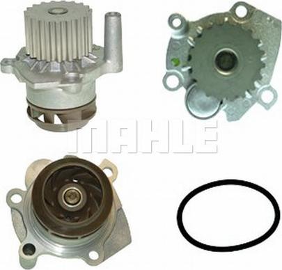 Wilmink Group WG2182004 - Water Pump autospares.lv
