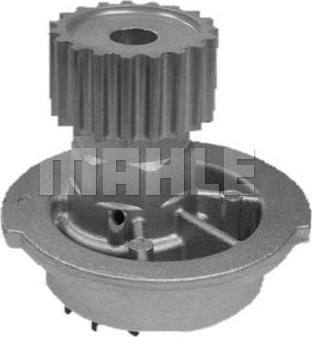 Wilmink Group WG2182006 - Water Pump autospares.lv