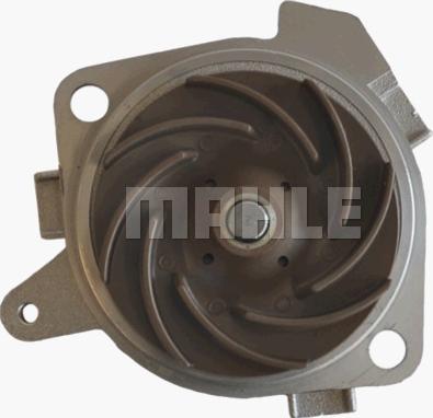 Wilmink Group WG2182016 - Water Pump autospares.lv