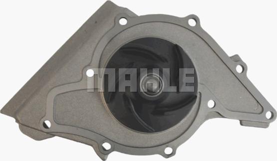 Wilmink Group WG2182087 - Water Pump autospares.lv