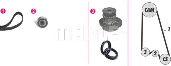 Wilmink Group WG2182198 - Water Pump & Timing Belt Set autospares.lv