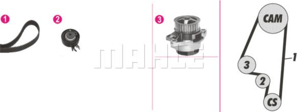 Wilmink Group WG2182197 - Water Pump & Timing Belt Set autospares.lv