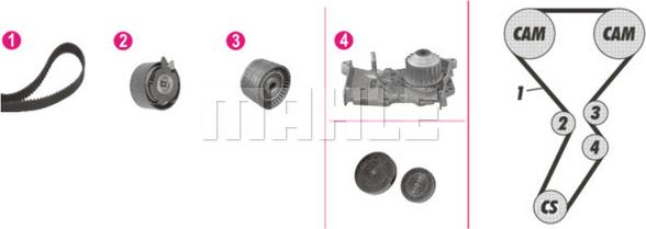 Wilmink Group WG2182147 - Water Pump & Timing Belt Set autospares.lv