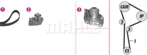 Wilmink Group WG2182156 - Water Pump & Timing Belt Set autospares.lv