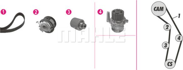 Wilmink Group WG2182157 - Water Pump & Timing Belt Set autospares.lv