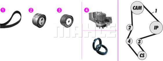 Wilmink Group WG2182169 - Water Pump & Timing Belt Set autospares.lv