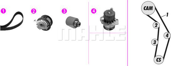 Wilmink Group WG2182160 - Water Pump & Timing Belt Set autospares.lv