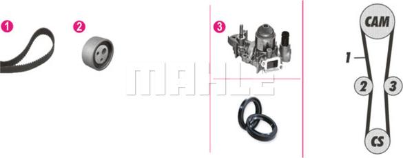 Wilmink Group WG2182162 - Water Pump & Timing Belt Set autospares.lv