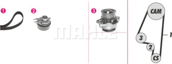 Wilmink Group WG2182102 - Water Pump & Timing Belt Set autospares.lv