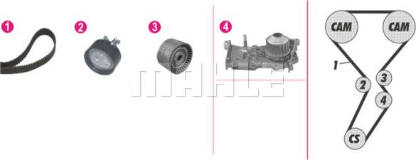 Wilmink Group WG2182119 - Water Pump & Timing Belt Set autospares.lv