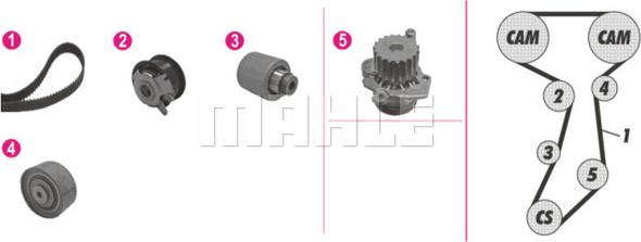 Wilmink Group WG2182114 - Water Pump & Timing Belt Set autospares.lv