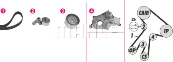 Wilmink Group WG2182116 - Water Pump & Timing Belt Set autospares.lv