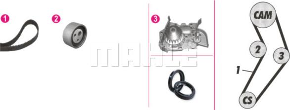 Wilmink Group WG2182182 - Water Pump & Timing Belt Set autospares.lv