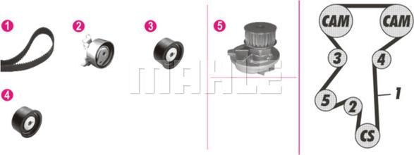 Wilmink Group WG2182134 - Water Pump & Timing Belt Set autospares.lv